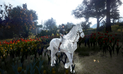 《黑色沙漠》如何捕捉宠物和驯养马匹？