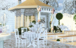 模拟人生3中的婚姻攻略和婚礼筹备建议？