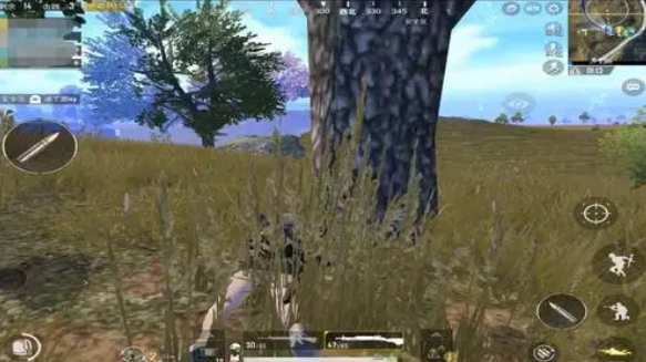 绝地求生中如何利用草丛进行伏击？