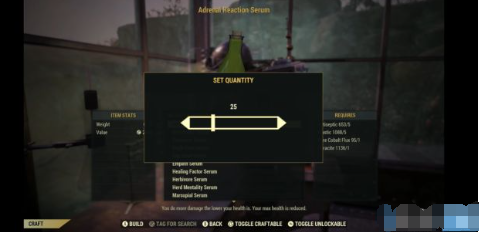 辐射76维护和更新信息