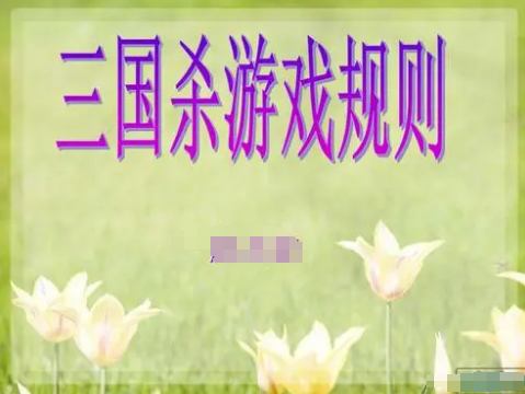《三国杀》游戏规则解释