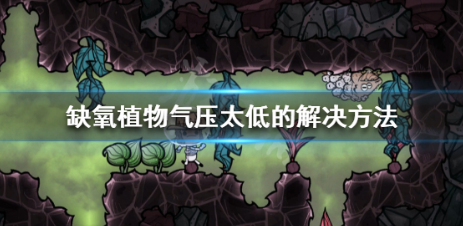 如何在《缺氧》中培养和繁殖植物？