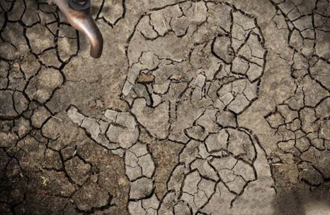 如何处理水危机和干旱《模拟城市5》