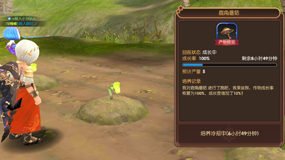 《龙之谷》中家园系统详解:建设和管理你的家园。