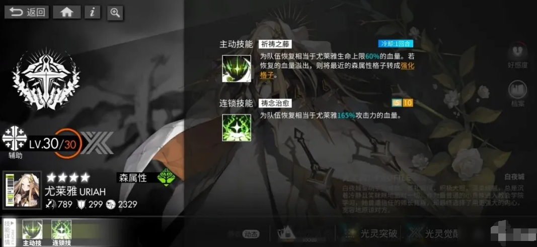 白夜极光最强职业选择