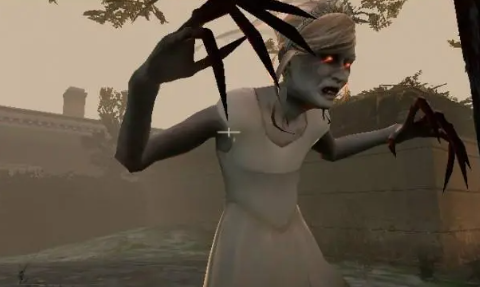 在《求生之路》中如何有效对付Witch（女巫）特感？