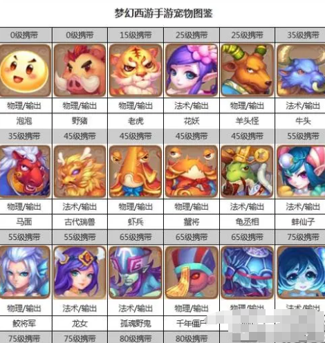 如何培养强大的宠物团队，宠物培养有什么技巧？