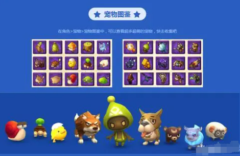 《冒险岛2》有哪些不同类型的宠物？