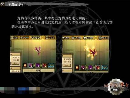 地下城勇士游戏的宠物系统解析。