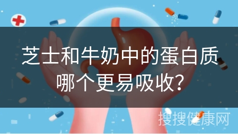 芝士和牛奶中的蛋白质哪个更易吸收？