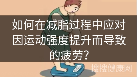 如何在减脂过程中应对因运动强度提升而导致的疲劳？