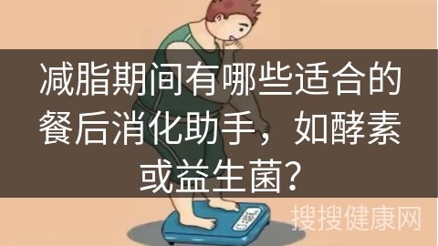 减脂期间有哪些适合的餐后消化助手，如酵素或益生菌？