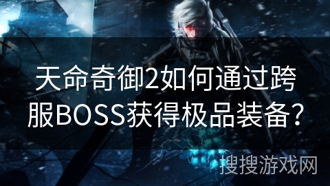 天命奇御2如何通过跨服BOSS获得极品装备？