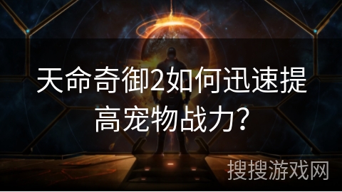 天命奇御2如何迅速提高宠物战力？