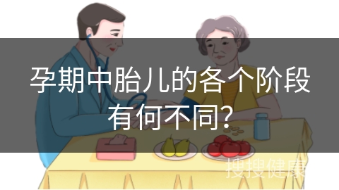 孕期中胎儿的各个阶段有何不同？