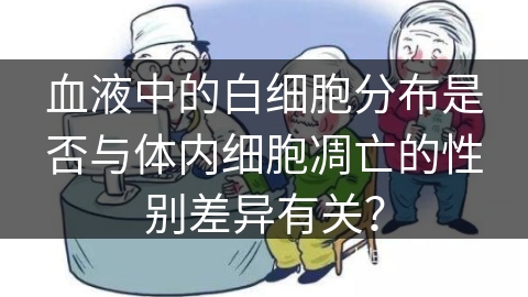 血液中的白细胞分布是否与体内细胞凋亡的性别差异有关？