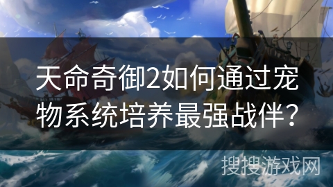 天命奇御2如何通过宠物系统培养最强战伴？