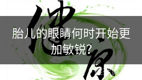 胎儿的眼睛何时开始更加敏锐？