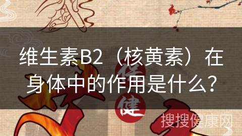 维生素B2（核黄素）在身体中的作用是什么？