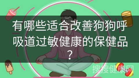 有哪些适合改善狗狗呼吸道过敏健康的保健品？