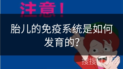 胎儿的免疫系统是如何发育的？