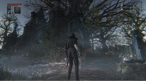 血源诅咒游戏中的失落之魂获取与运用技巧