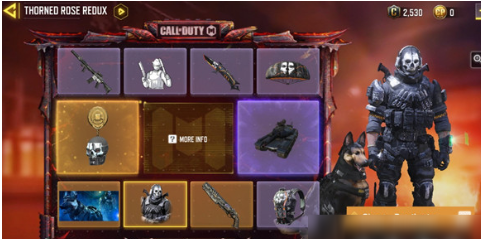 《突击风暴 2》游戏中有特殊宝箱吗？