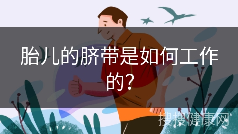 胎儿的脐带是如何工作的？