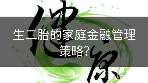 生二胎的家庭金融管理策略？