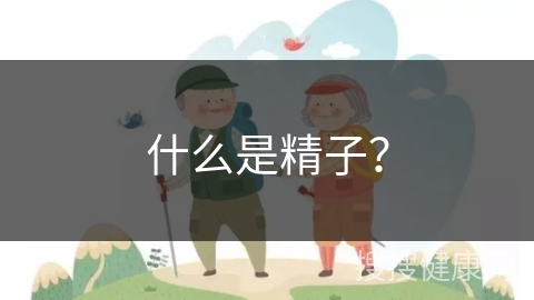 什么是精子？