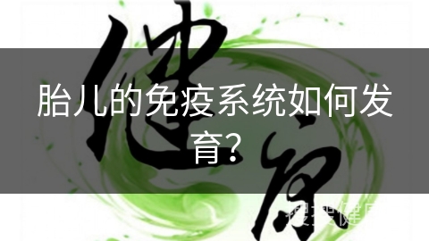 胎儿的免疫系统如何发育？