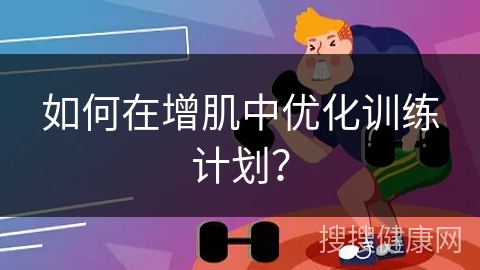 如何在增肌中优化训练计划？