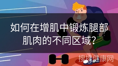 如何在增肌中锻炼腿部肌肉的不同区域？