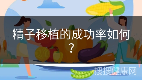 精子移植的成功率如何？