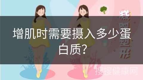 增肌时需要摄入多少蛋白质？