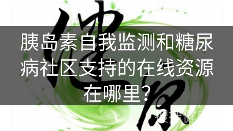 胰岛素自我监测和糖尿病社区支持的在线资源在哪里？