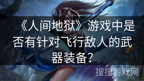 《人间地狱》游戏中是否有针对飞行敌人的武器装备？
