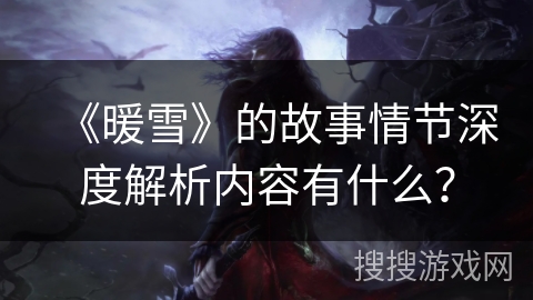 《暖雪》的故事情节深度解析内容有什么？