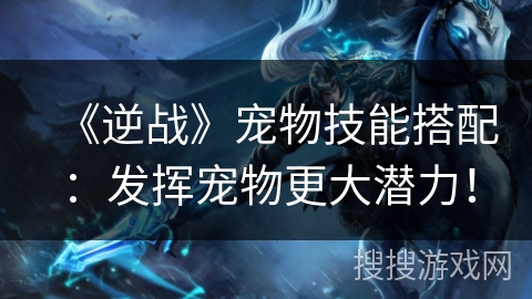 《逆战》宠物技能搭配：发挥宠物更大潜力！