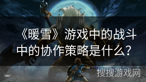 《暖雪》游戏中的战斗中的协作策略是什么？