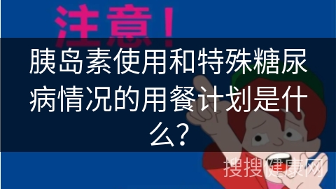 胰岛素使用和特殊糖尿病情况的用餐计划是什么？