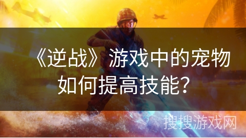 《逆战》游戏中的宠物如何提高技能？