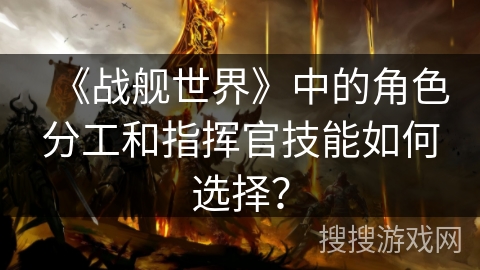 《战舰世界》中的角色分工和指挥官技能如何选择？
