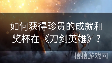 如何获得珍贵的成就和奖杯在《刀剑英雄》？
