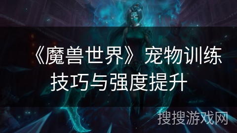 《魔兽世界》宠物训练技巧与强度提升