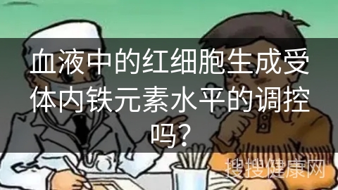 血液中的红细胞生成受体内铁元素水平的调控吗？