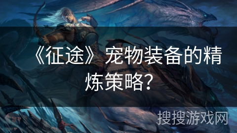 《征途》宠物装备的精炼策略？