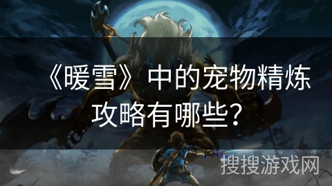 《暖雪》中的宠物精炼攻略有哪些？