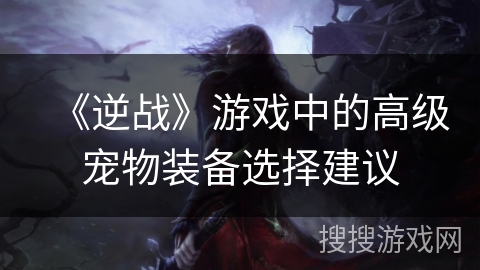 《逆战》游戏中的高级宠物装备选择建议