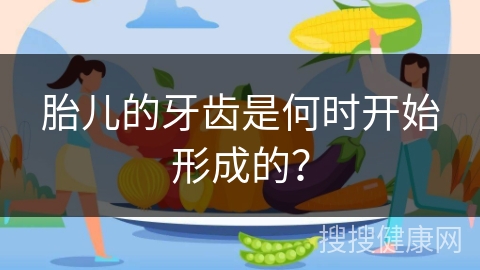 胎儿的牙齿是何时开始形成的？